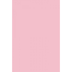 Canson Colorline Χαρτόνι Κανσόν Ροζ 50x70cm 105741133