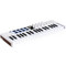 Arturia Minilab 37 MK3 White