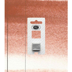 Roman Szmal Aquarius 251 Aquarius Brown Νερομπογιά 11-590-251