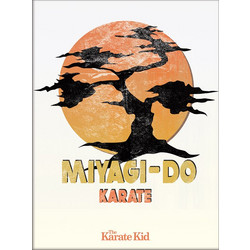 The Karate Kid (Miyagi-Do) Wooden Framed 30 x 40cm Print - FP13106P