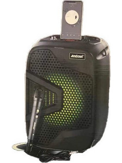 Andowl Q-YX501A Σύστημα Kαραόκε με Ενσύρματο Μικρόφωνο