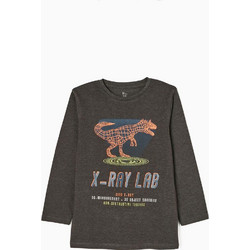 Zippy X-Ray Lab Παιδικό T-Shirt Μακρυμάνικο Ανθρακί 80197276