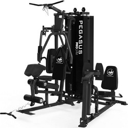 Pegasus Pro Λ-645 MT-18504-ABC