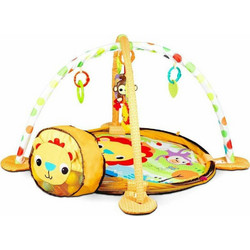 Ecotoys Γυμναστήριο με Μπάλες Λιοντάρι