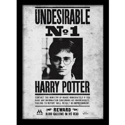 Harry Potter (Undesirable No1) Wooden Framed Print (30x40) - FP10616P