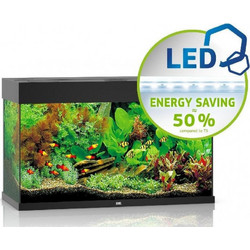 Juwel Aquarium Rio 125 Ενυδρείο Ψαριών με Φωτισμό, Θερμαντήρα, Κυκλοφορητή & Φίλτρο 125lt Μαύρο