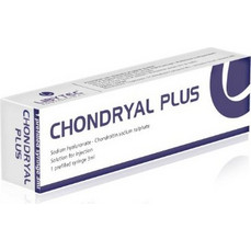 Libytec Chondryal Plus Injection 3ml