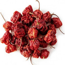 ΠΙΠΕΡΙΑ TRINIDAD SCORPION CHILLI ΟΛΟΚΛΗΡΗ ΜΕΞΙΚΟΥ