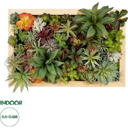 GloboStar(R) Artificial Garden VARIOUS PLANT 20642 Τεχνητό Διακοσμητικό Φυλλωσιάς σε Ξύλινο Πάνελ - Κάθετος Κήπος Μιξ Μ60 x Π60 x Υ20cm