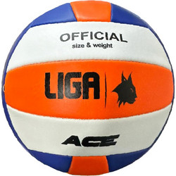 VOLLEYBALL ACE LIGASPORT - LIGA SPORT