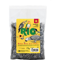 Rio Sunflower Seeds 1kg