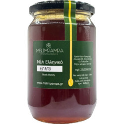 ΜΕΛΙ ΕΛΑΤΗΣ 920gr