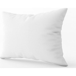 PowerPharm Pillow Μαξιλάρι Λευκό 45x65cm 1 Τεμάχιο