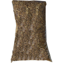 Epigasos Αποξηραμένα Aλευροσκούληκα Mealworm Σακουλάκι 1000γρ