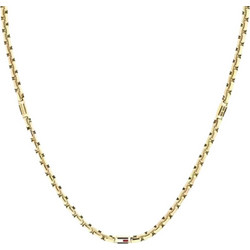 Ανδρικό Κολιέ Αλυσίδα Tommy Hilfiger 2790673 Χρυσό