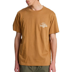 Quiksilver Bliss Point T-Shirt (EQYZT08259-CMK0)