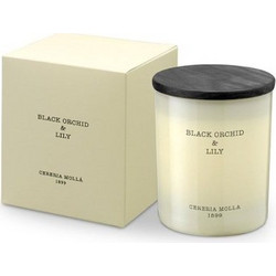 Cereria Molla Φυτικό Αρωματικό Κερί 230 gr I Black Orchid & Lily