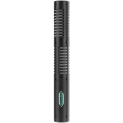 Royer SF 12 Μικρόφωνο
