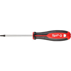 ΚΑΤΣΑΒΙΔΙ TORX T20X100 MW