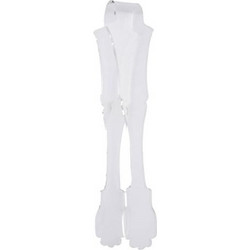 Λαβίδα Honorine Large Clear Sabre Paris (17 cm)