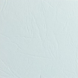 Χαρτονάκι Α4 δέρμα 250gr 1φ white 5370104