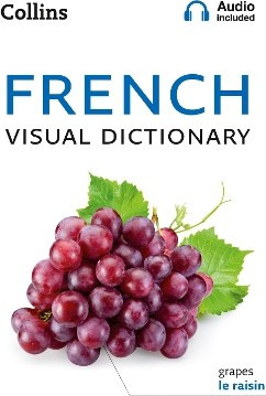 COLLINS FRENCH VISUAL DICTIONARY