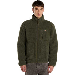 Dickies Mount Hope Ανδρική Ζακέτα Fleece με Φερμουάρ Πράσινη DK0A4YEEL951
