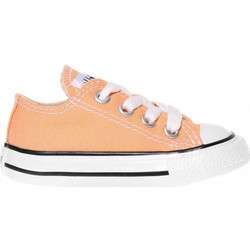 Converse Chuck Taylor All Star 736819C