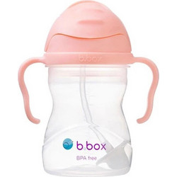 B.Box The Essential Sippy Cup Tutti Frutti 240ml