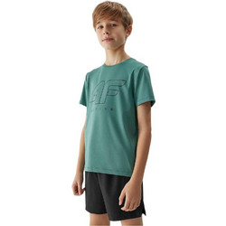 4F Παιδικό T-Shirt Κοντομάνικο Βεραμάν JWSS-24TFTSM691-41S