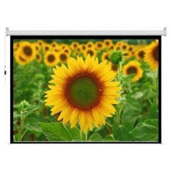 Vega Classic Manual 180 Οθόνη Προβολής Projector Τοίχου / Οροφής 4:3 180x135cm / 85"