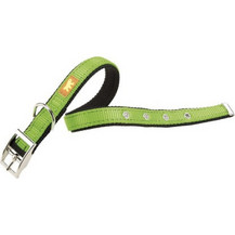 Ferplast Dual CF Κολάρο Σκύλου Lime 2.5x45-53cm