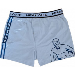 Apple Boxer Ανδρικό Μποξεράκι Γαλάζιο 0110581