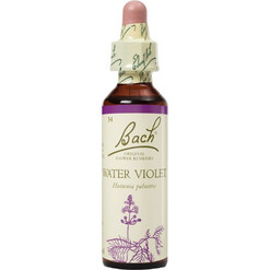 Power Health Bach Water Violet Ανθοΐαμα σε Σταγόνες για Κοινωνικοποίηση 20ml