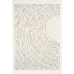 Ezzo Pavia Χαλί Ορθογώνιο 200x290cm F045B3R Cream