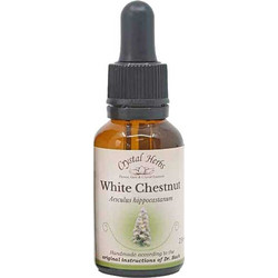 Crystal Herbs White Chestnut Ανθοΐαμα σε Σταγόνες για Πνευματική Διαύγεια & Συγκέντρωση 25ml