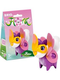 Brio Flora Aster 36210
