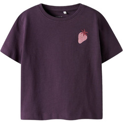 Name It Παιδικό T-Shirt Κοντομάνικο Μωβ 13251485