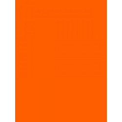 Canson Colorline Χαρτόνι Κανσόν Πορτοκαλί 50x70cm 105741132