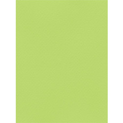 Favini Χαρτόνι Κανσόν Φυστικί Πράσινο 70x100cm 831.70100.15T