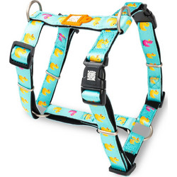 Max & Molly Ducklings Σαμαράκι Σκύλου Ιμάντας Τιρκουάζ Small