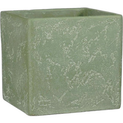Supergreens Jimmy Κασπώ Τσιμεντένιο Ανοιχτό Πράσινο 17x17x16.5cm 7680-8
