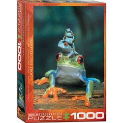 Puzzle Eurographics Red-Eyed Tree Frog 1000 Κομμάτια