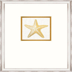 Κάδρο Starfish Fa13367 35X45Cm White-Gold Mindthegap Κάθετοι Ξύλο