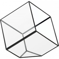 Διακοσμητικός Γυάλινος Μαύρος Κύβος Terrarium 0496.20613