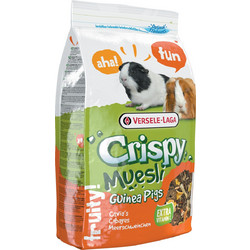 Versele-Laga Fruity! Crispy Muesli Guinea Pigs 1kg