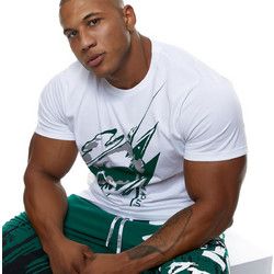 Evolution Body 2462-White Green
