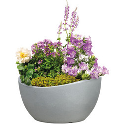 Scheurich Wave Globe Bowl 252 Κασπώ Stony Grey