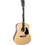 Soundsation Yellowstone DN Natural