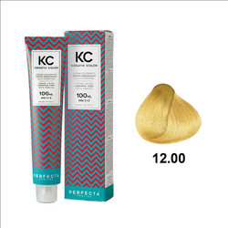 Faipa Perfecta Creme Color Pro Line 12.00 Πλατινέ Φυσικό Ημιμόνιμη Βαφή Μαλλιών Χωρίς Αμμωνία 70ml